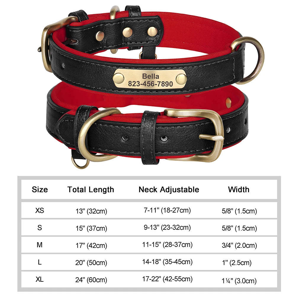 Personalized Dog Collar