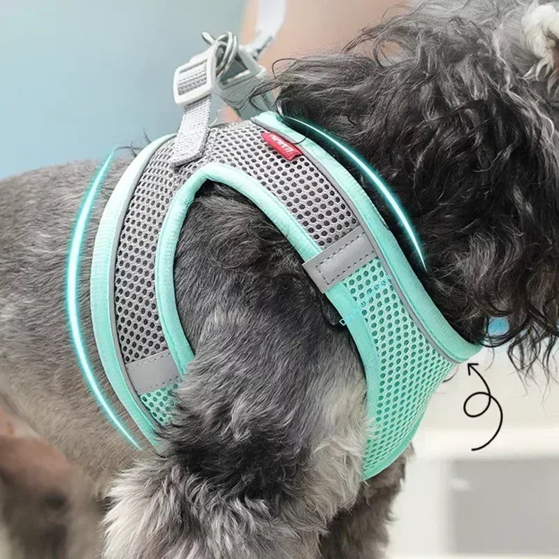 Pet Harness Set