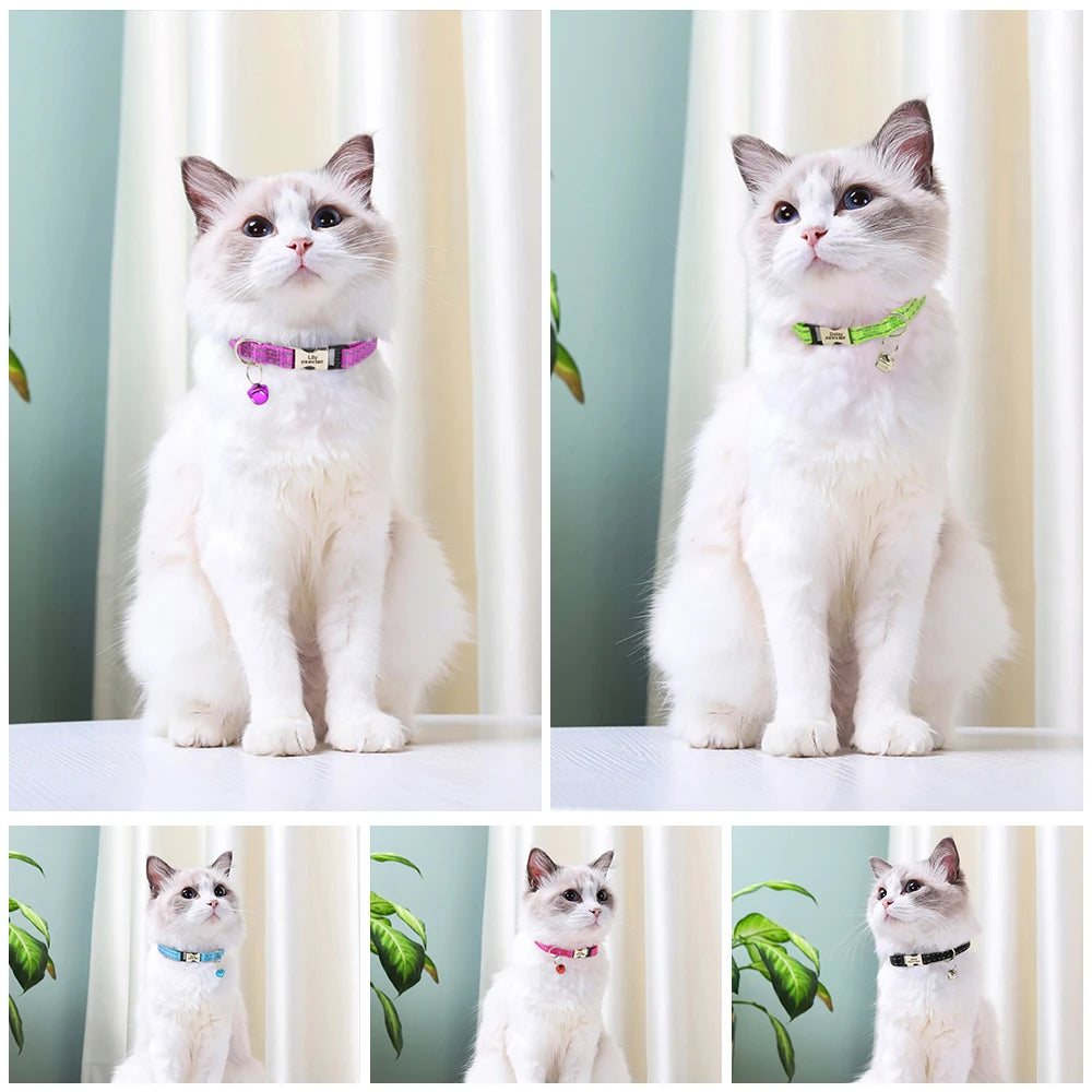 Personalized Nylon Cat Collar