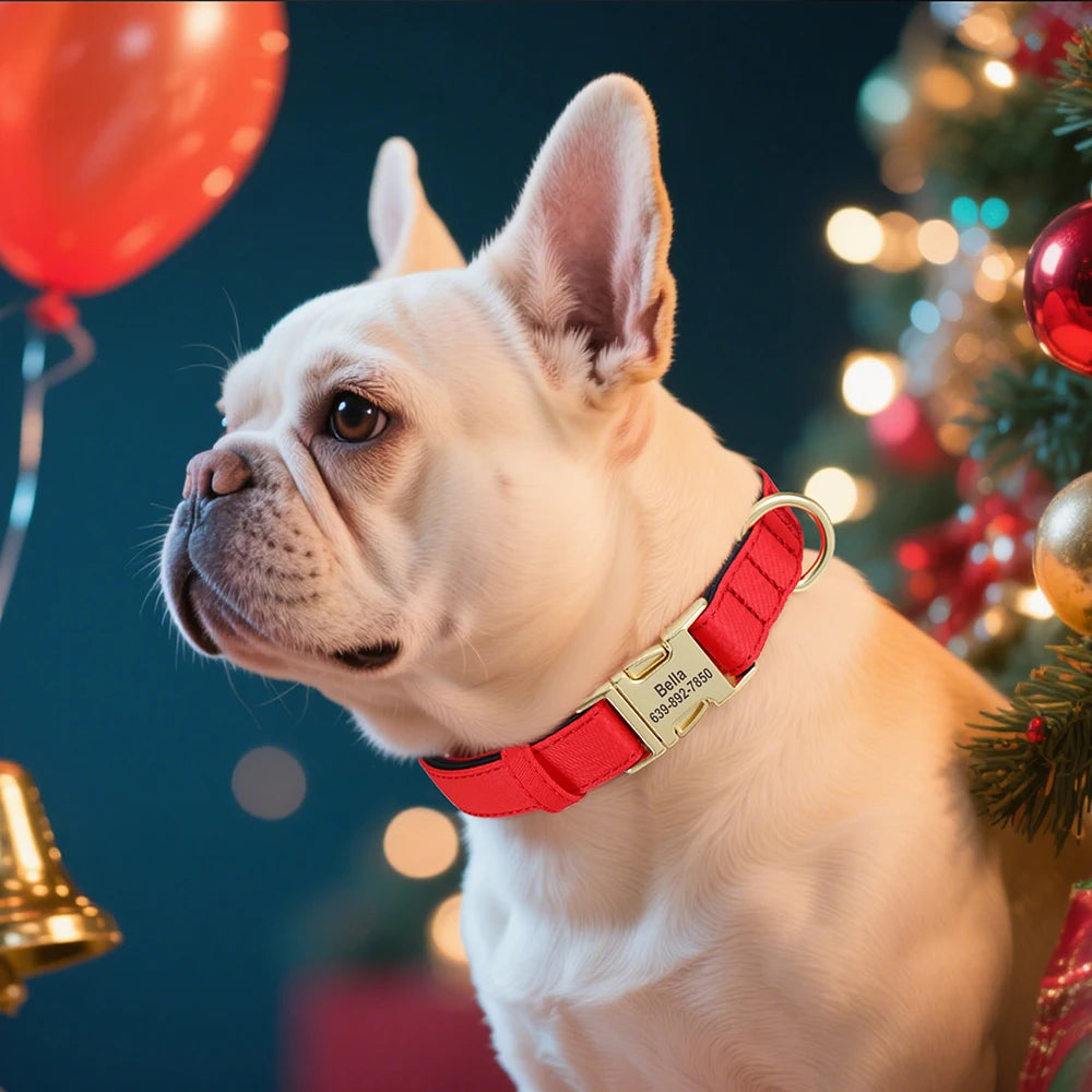 Personalized Dog Collar - Nylon