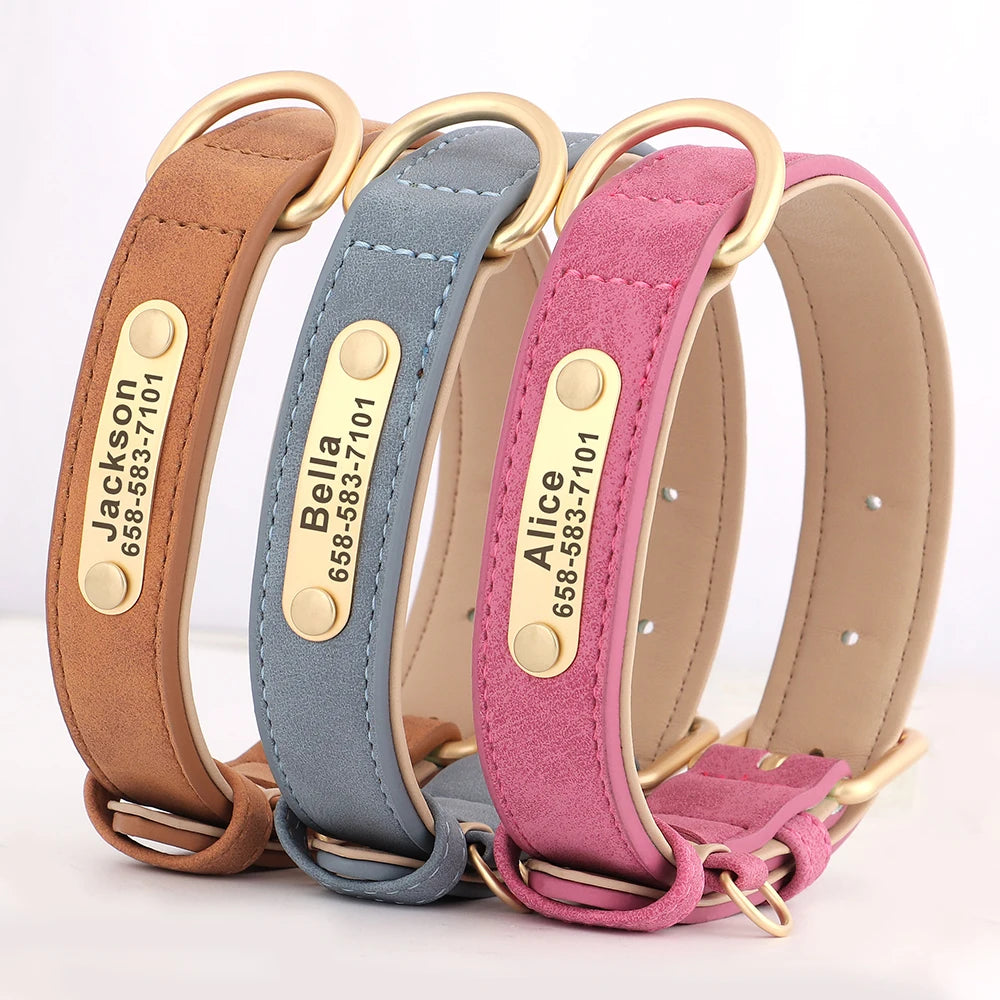 Personalized Dog Collar