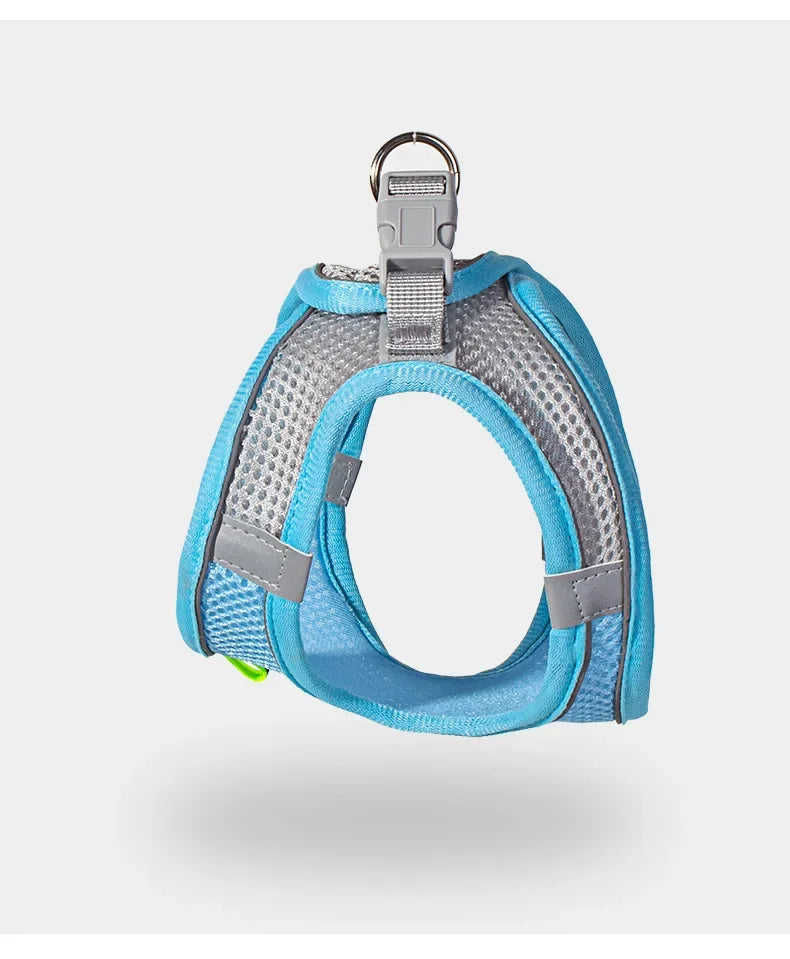 Pet Harness Set