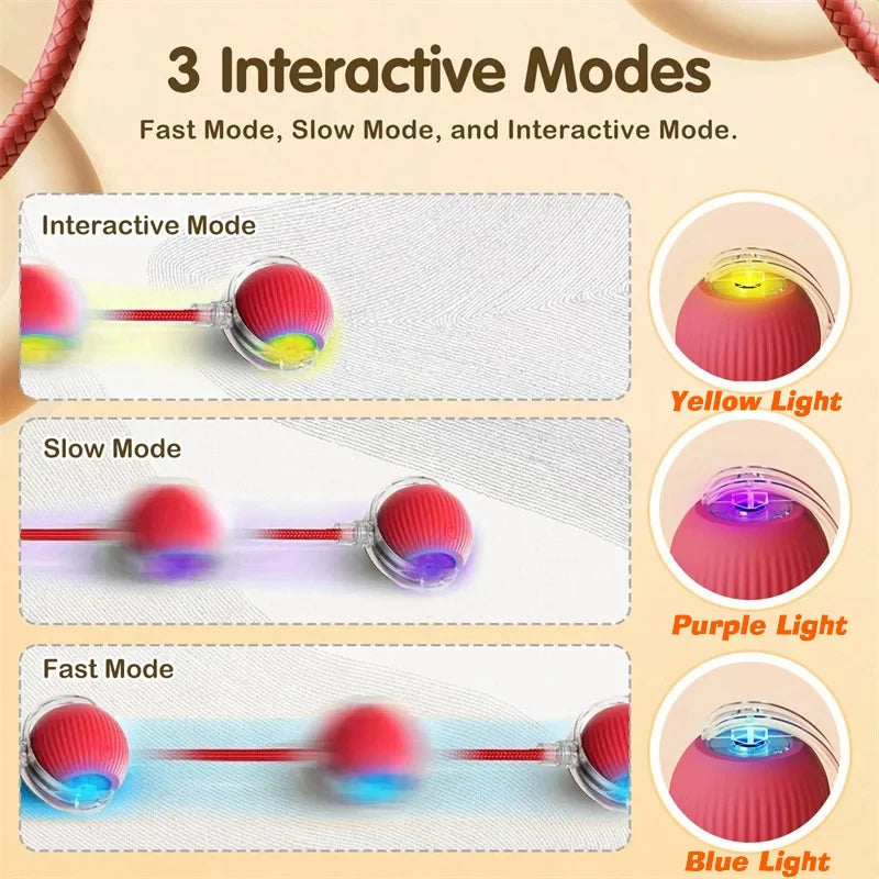 Interactive Dog Ball