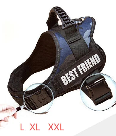 Custom Dog Harness