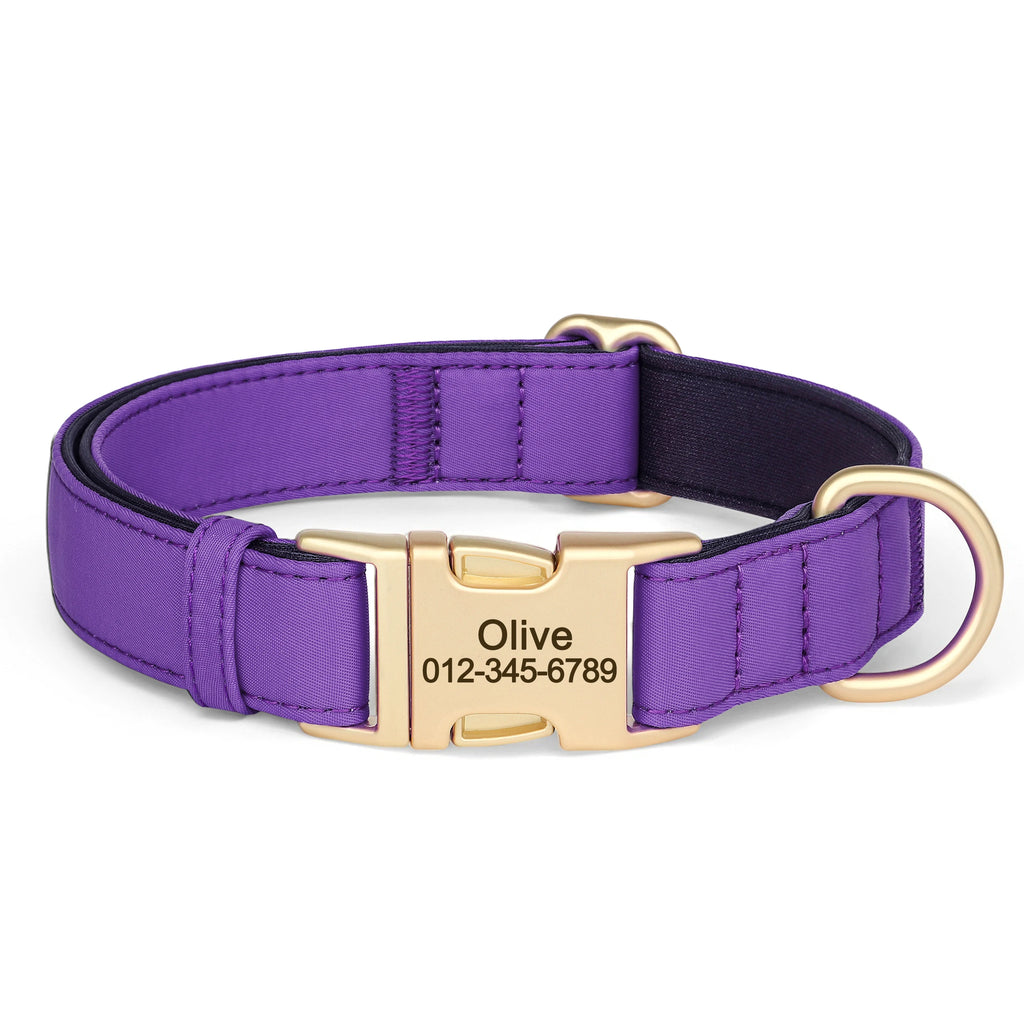Personalized Dog Collar - Nylon