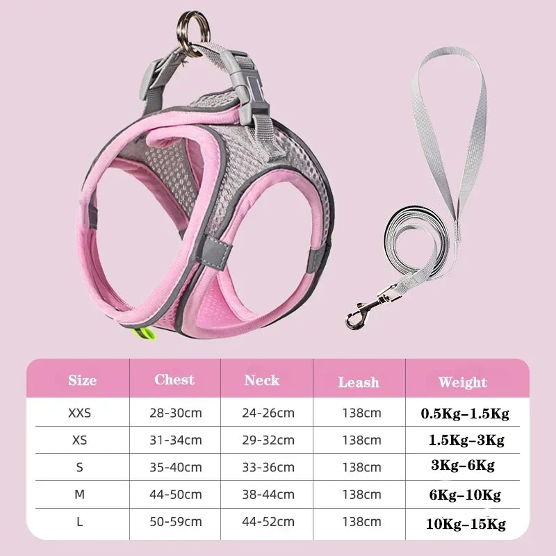 Pet Harness Set