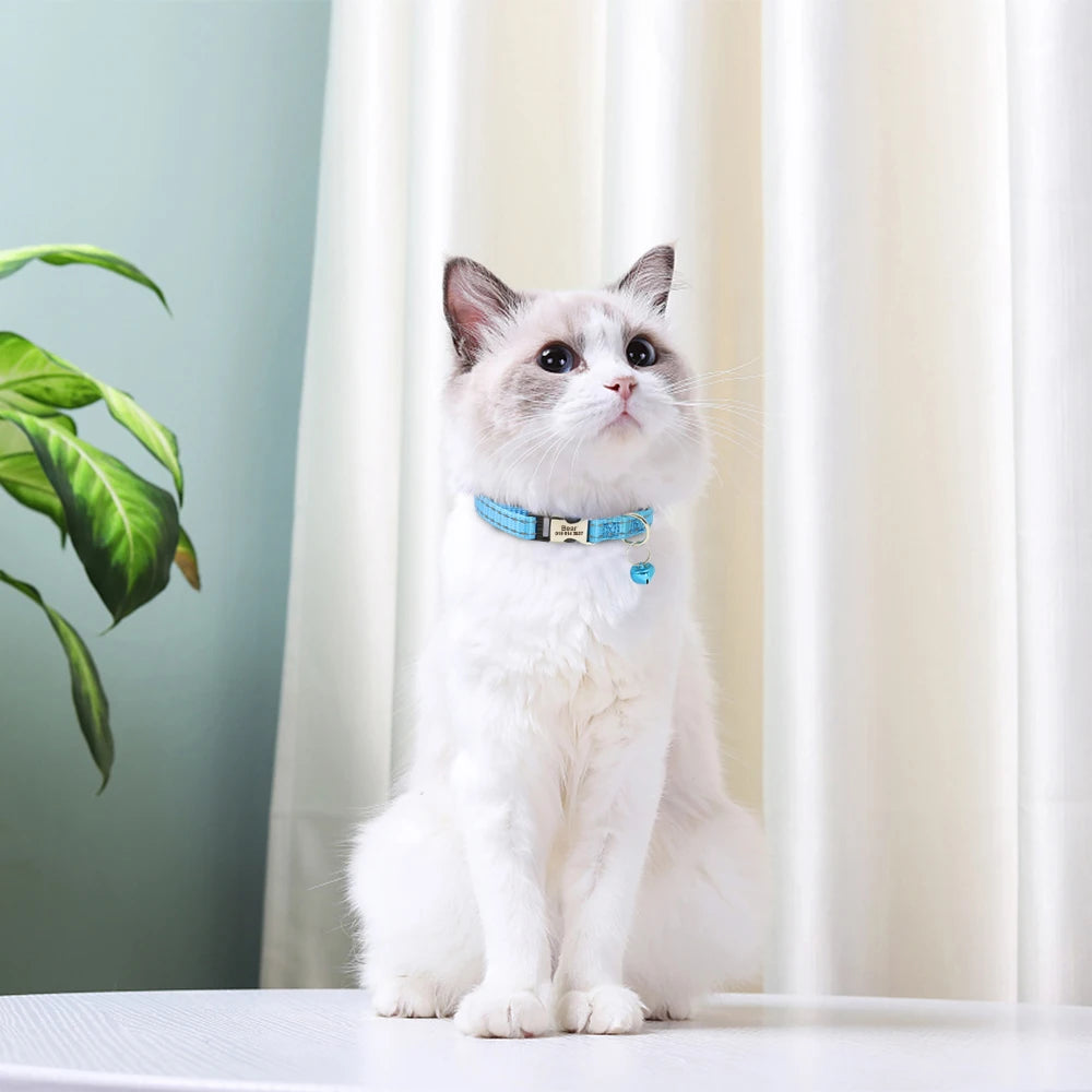 Personalized Nylon Cat Collar