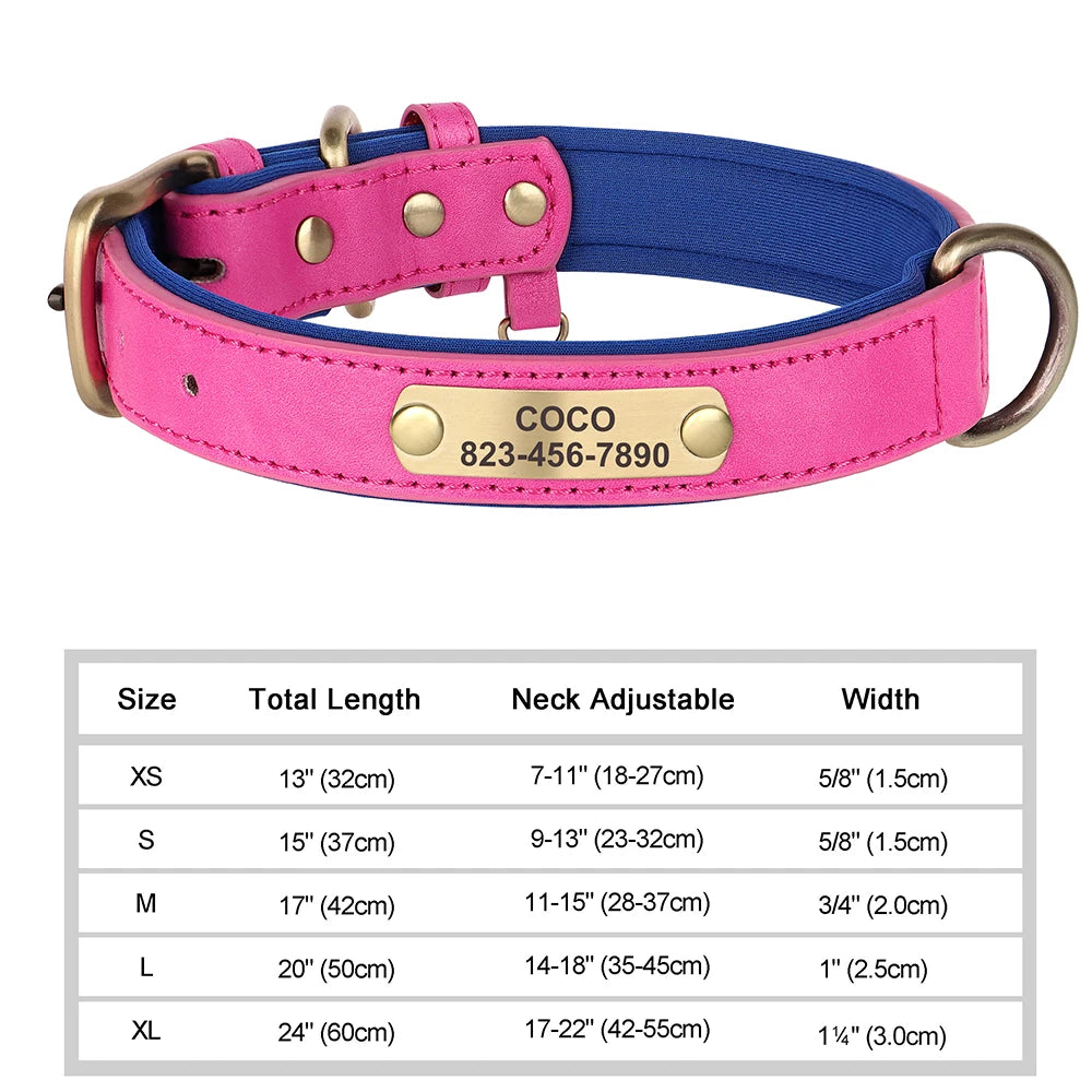 Personalized Dog Collar