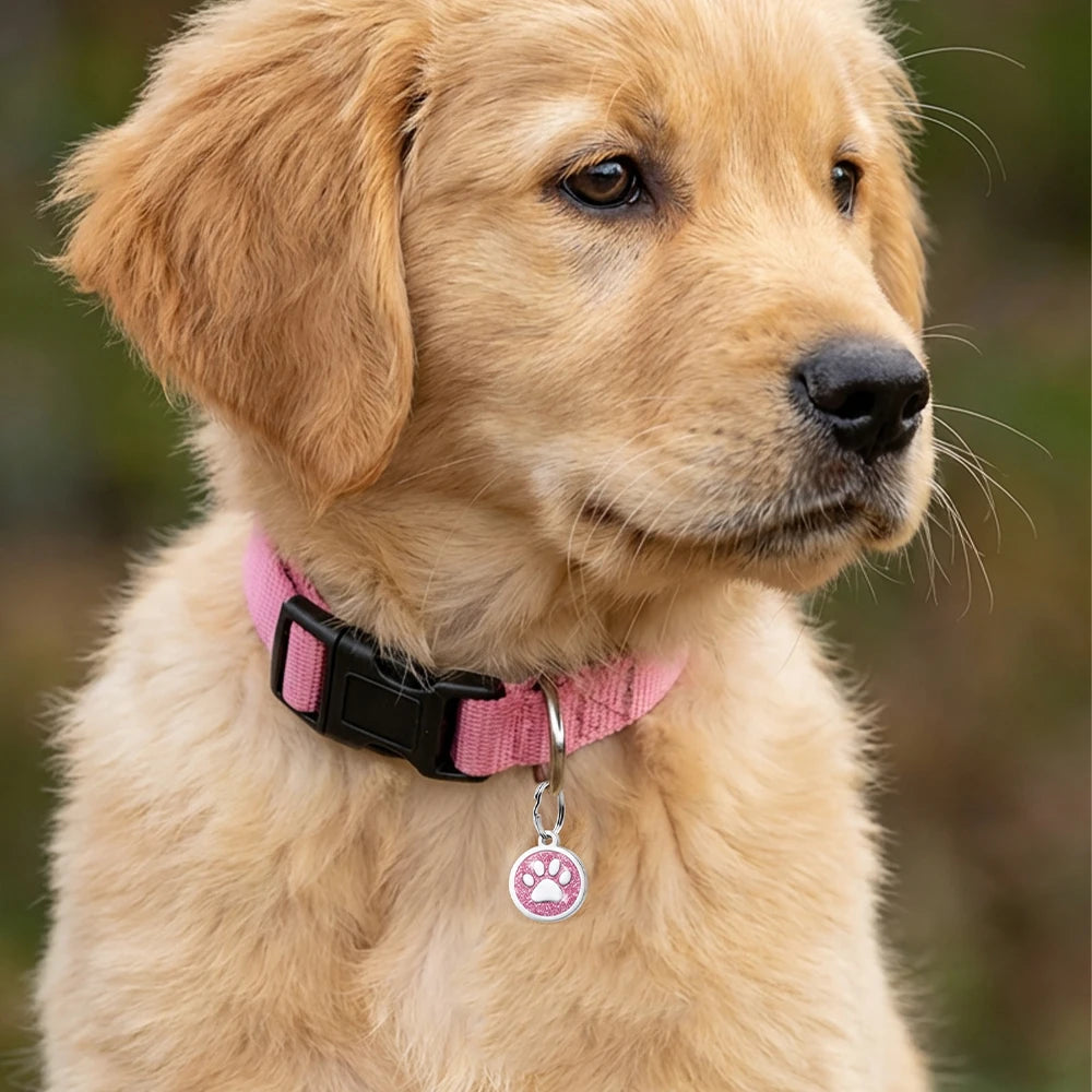 Personalized Pet Plate Tags Engraved