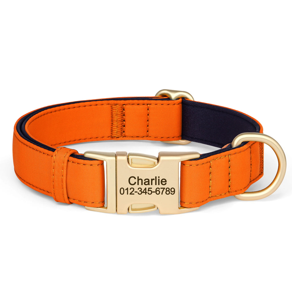 Personalized Dog Collar - Nylon