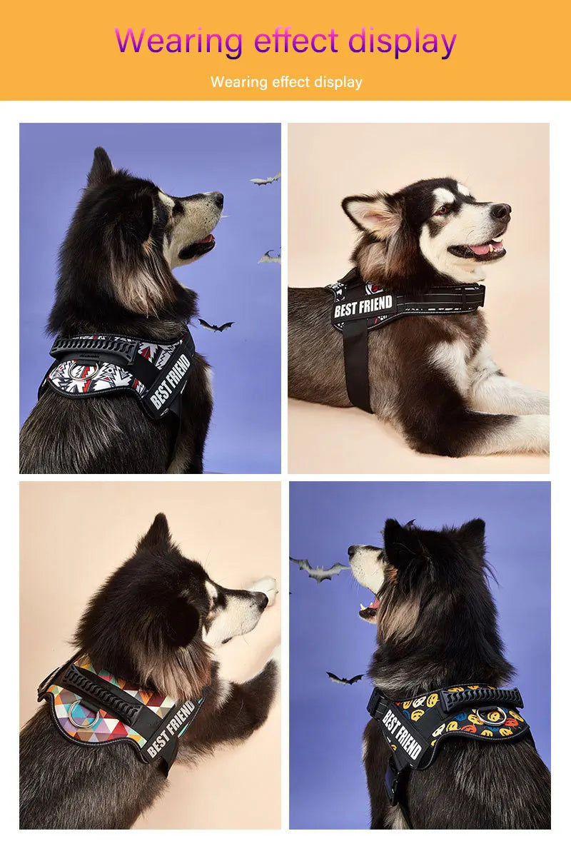 Custom Dog Harness