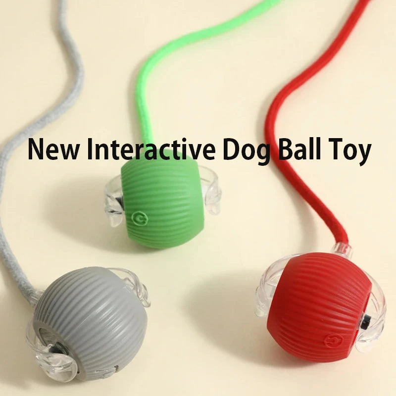 Interactive Dog Ball