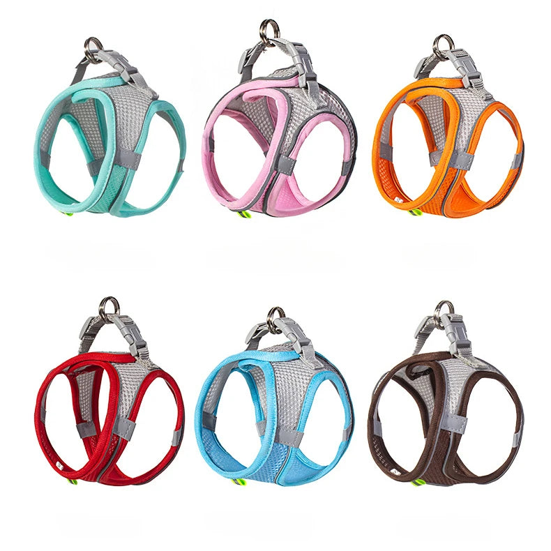 Pet Harness Set