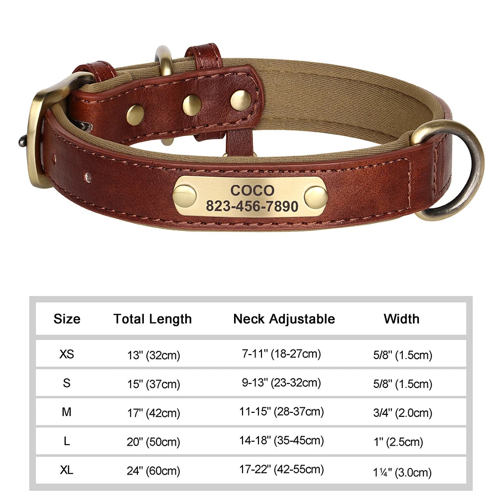 Personalized Dog Collar