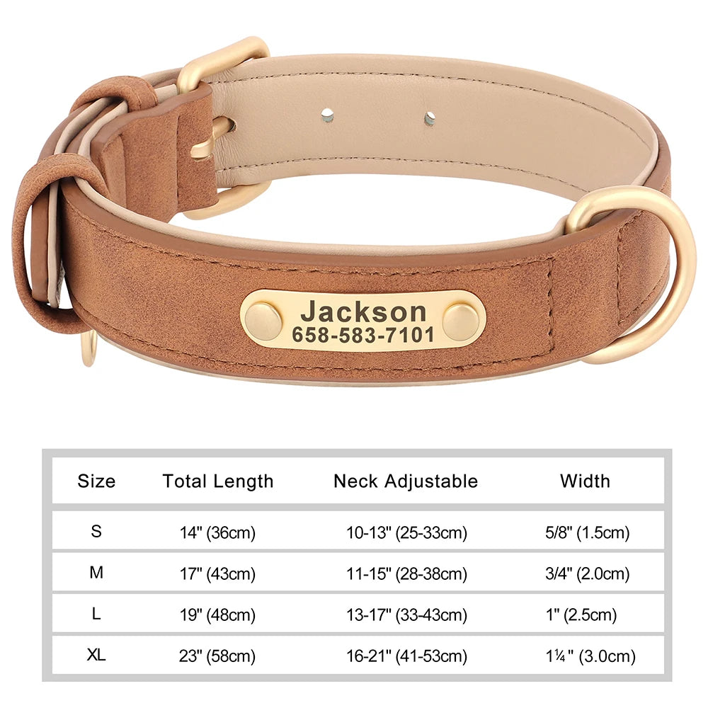 Personalized Dog Collar