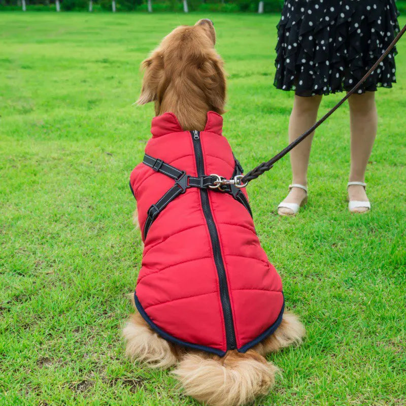 Waterproof Pet Jacket with Built-In Harness