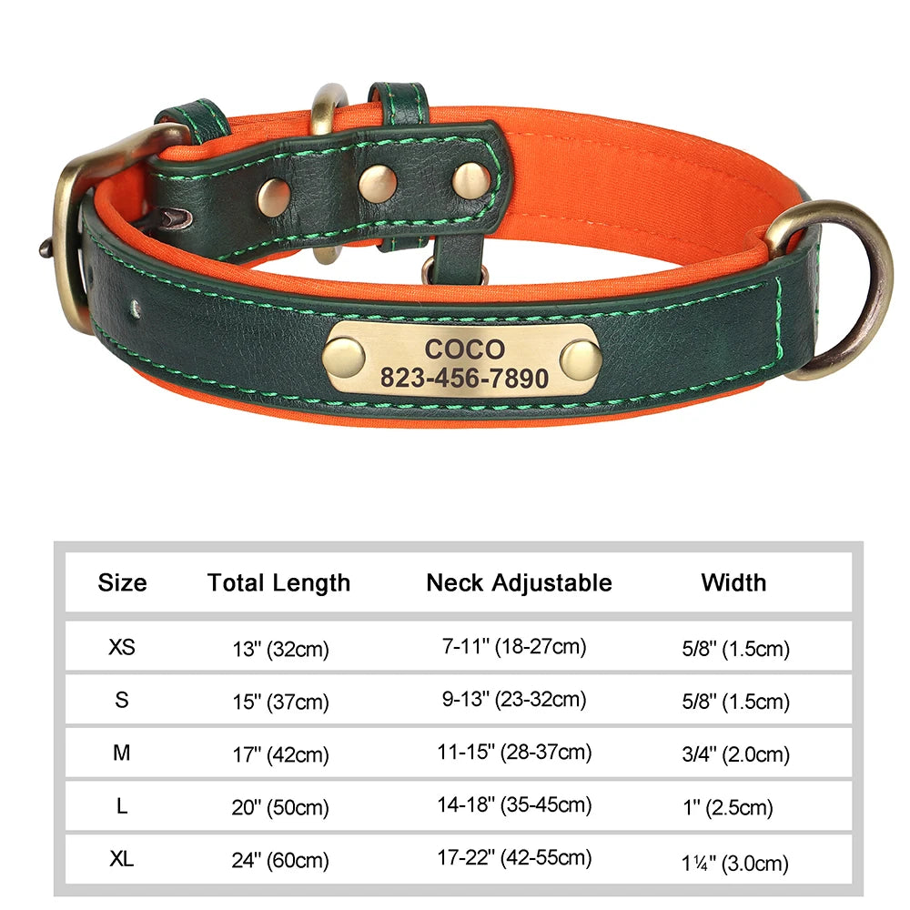 Personalized Dog Collar