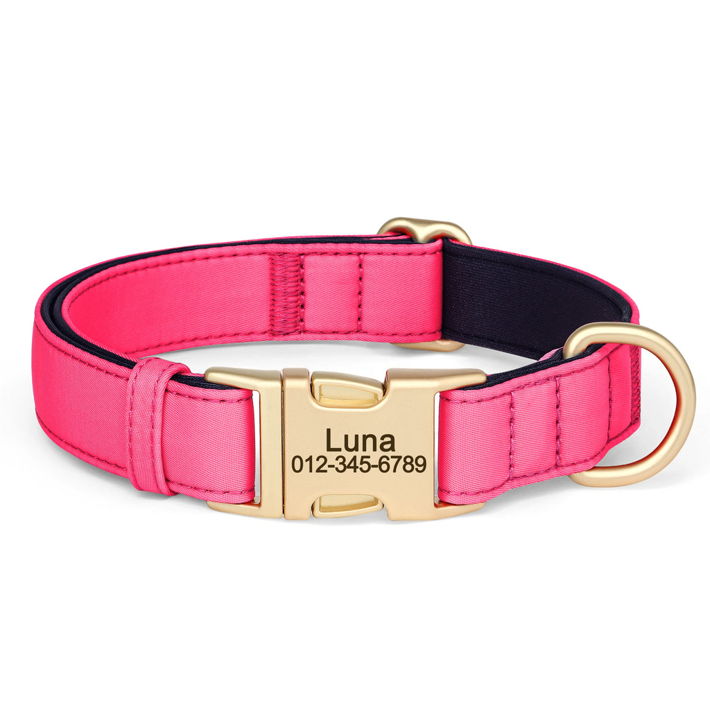 Personalized Dog Collar - Nylon