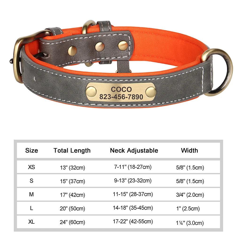 Personalized Dog Collar