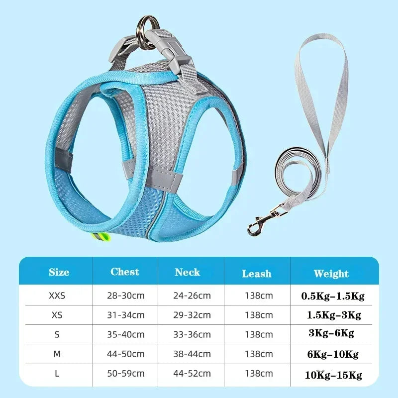 Pet Harness Set