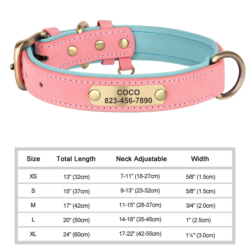 Personalized Dog Collar