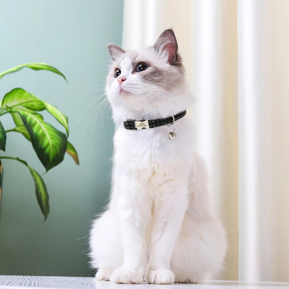 Personalized Nylon Cat Collar