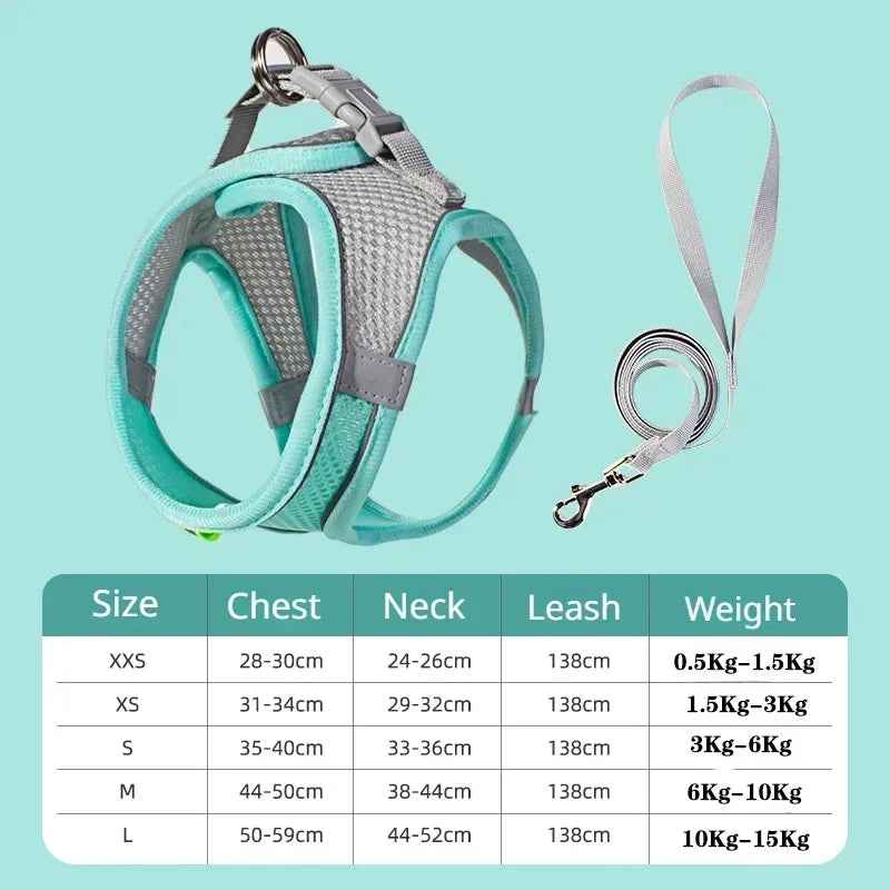 Pet Harness Set