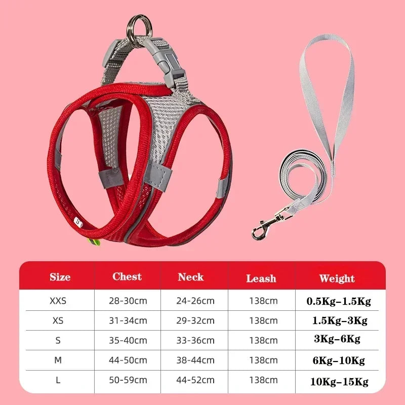 Pet Harness Set