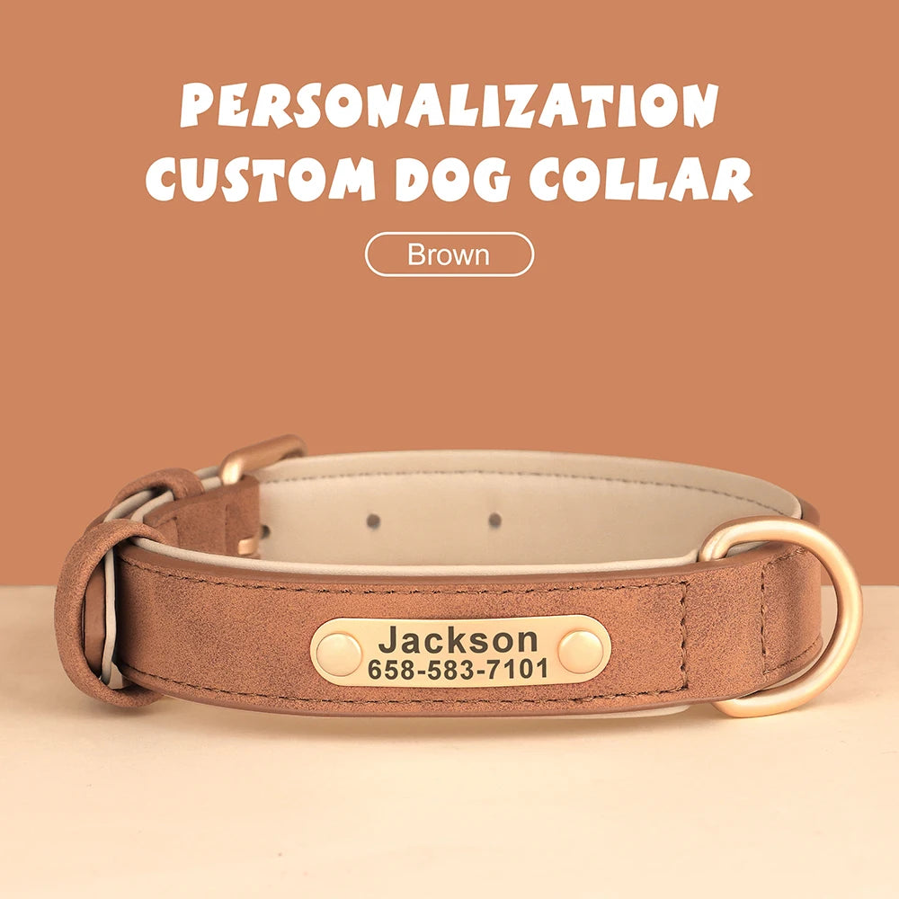 Personalized Dog Collar