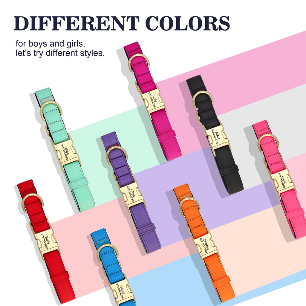 Personalized Dog Collar - Nylon