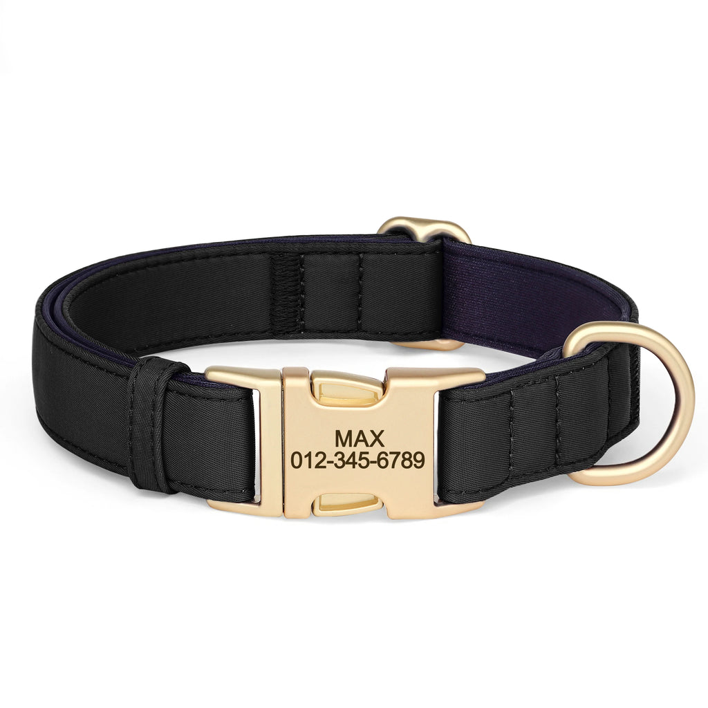 Personalized Dog Collar - Nylon