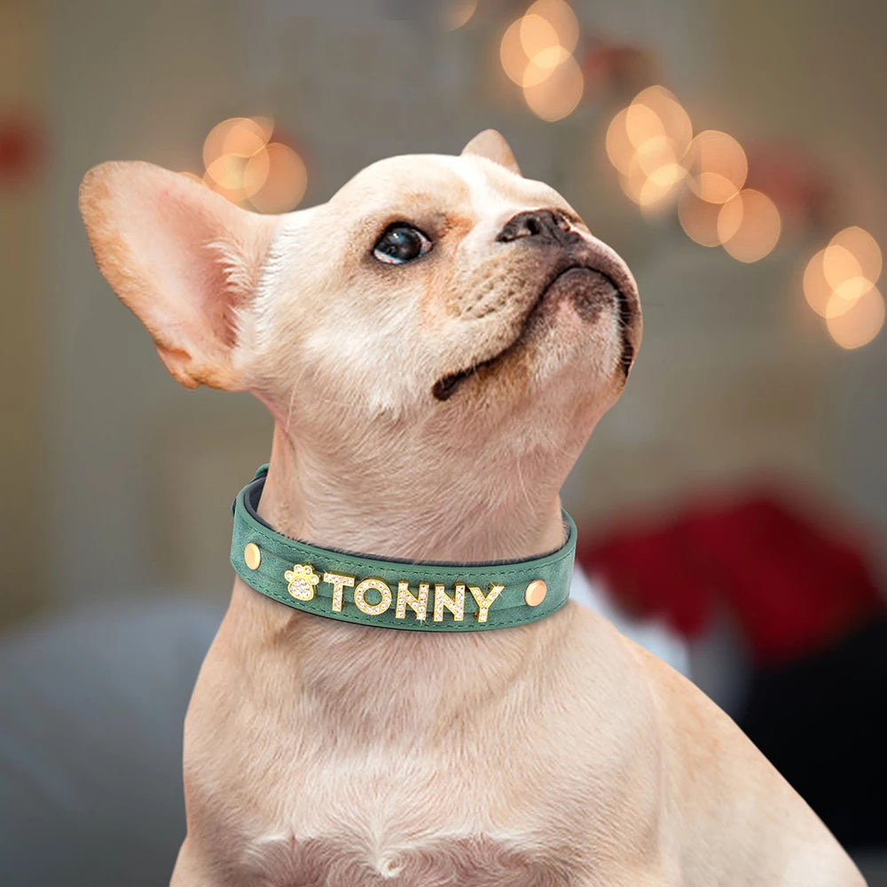 Personalized Rhinestone Dog Collar