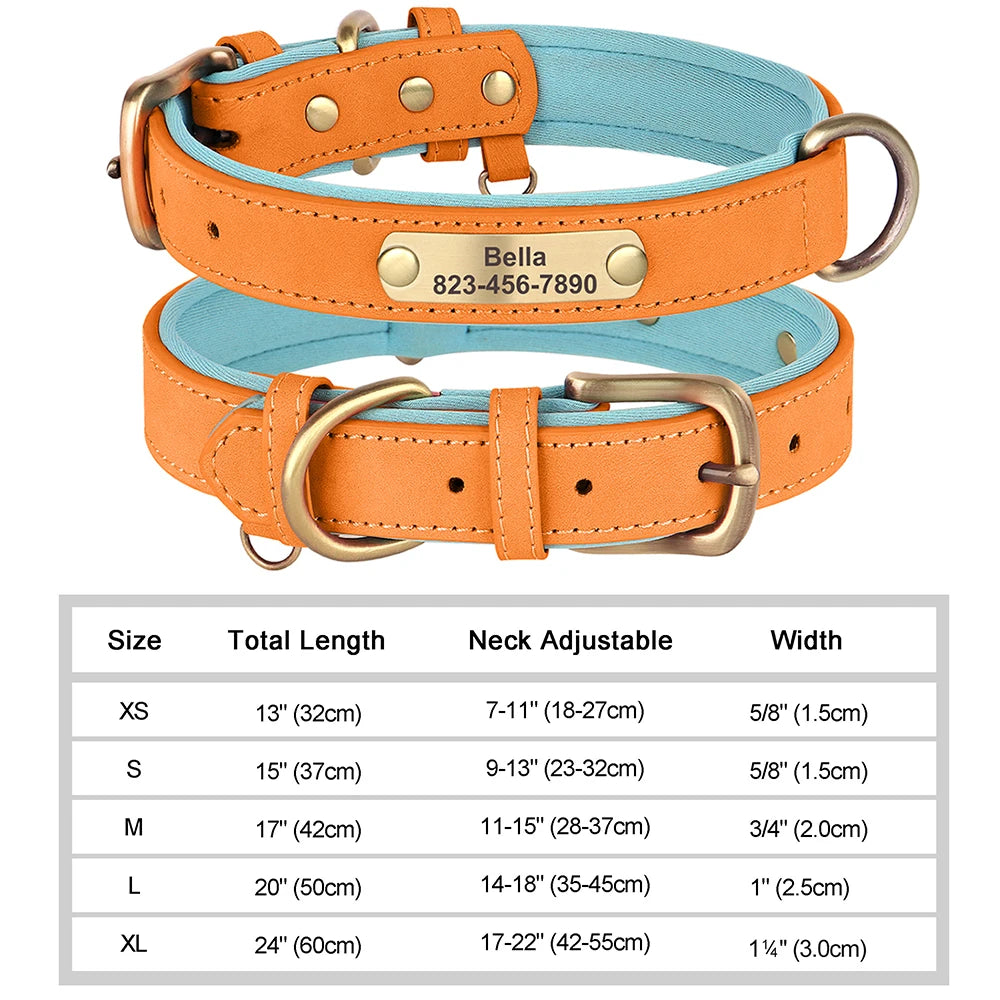 Personalized Dog Collar