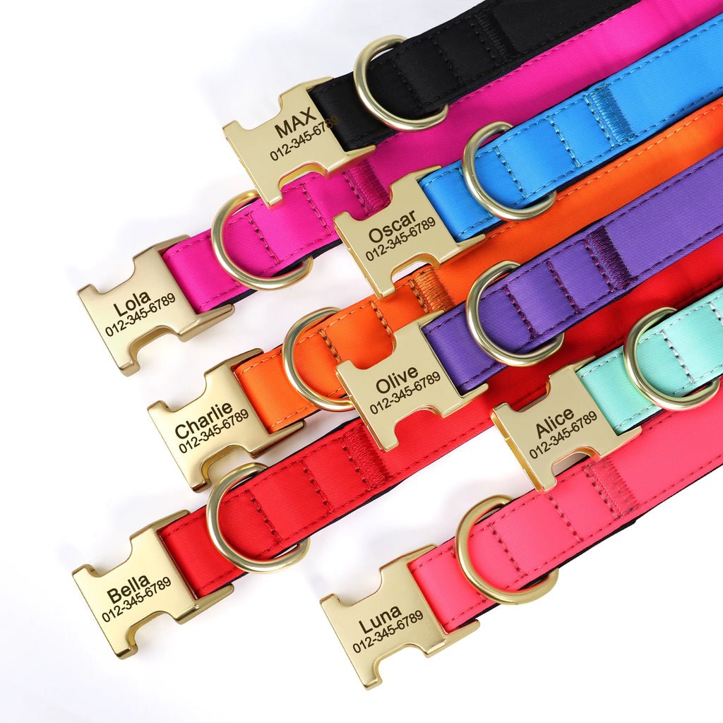 Personalized Dog Collar - Nylon