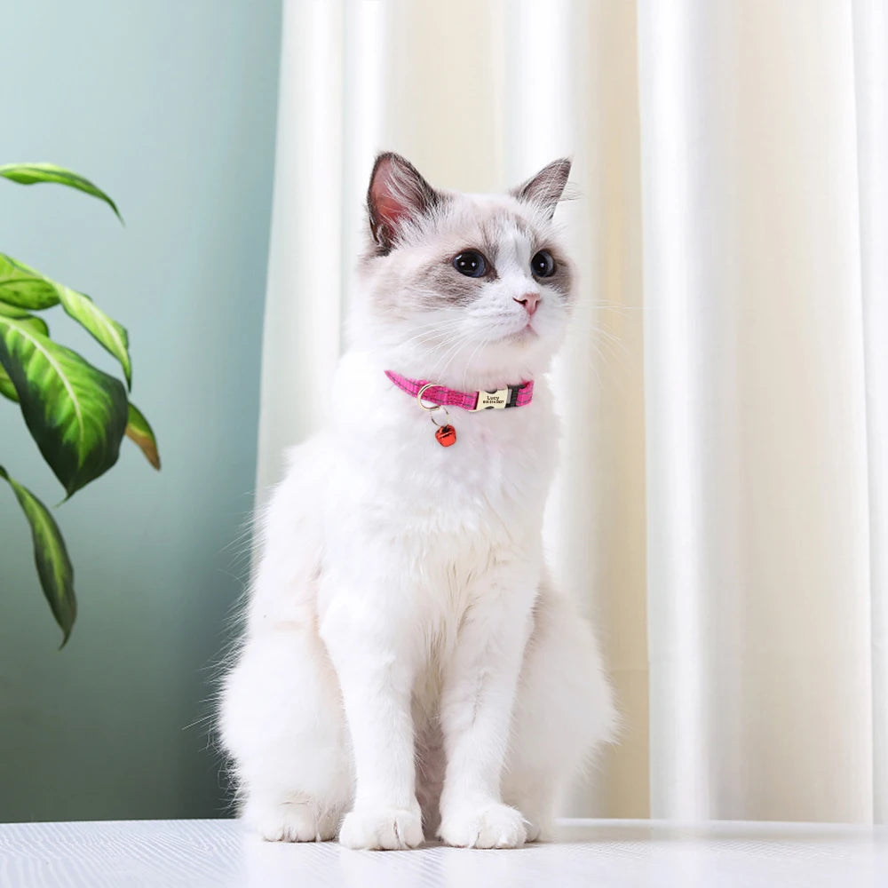 Personalized Nylon Cat Collar