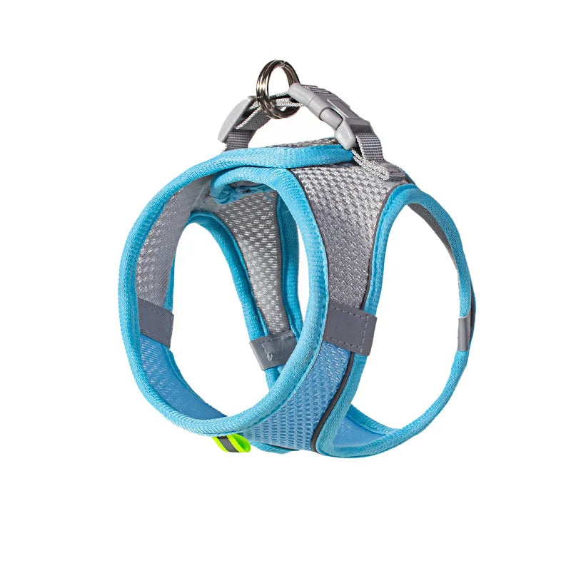 Pet Harness Set