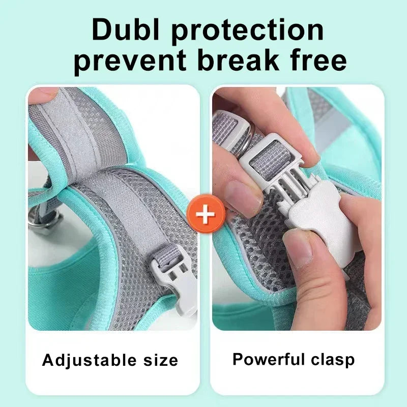 Pet Harness Set