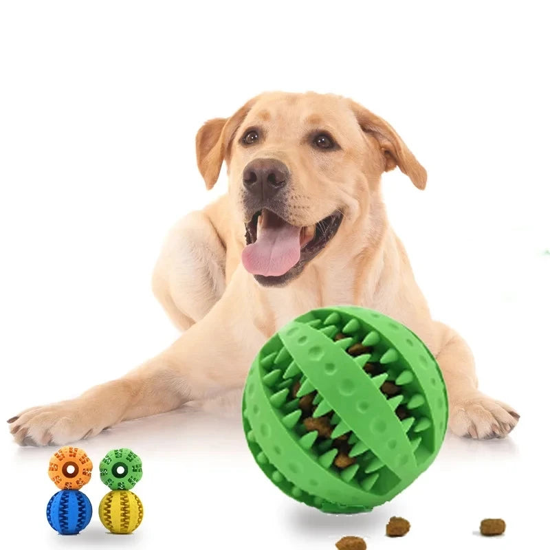 Interactive Rubber Balls for Pets