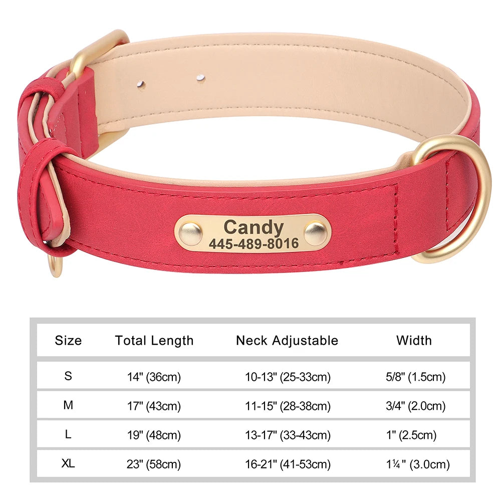 Personalized Dog Collar