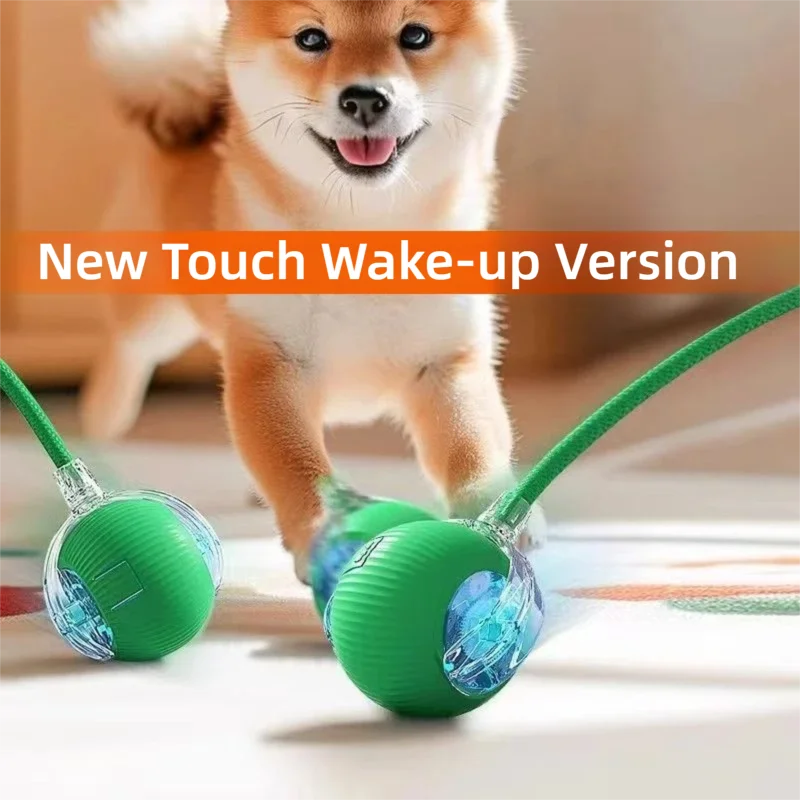 Interactive Dog Ball