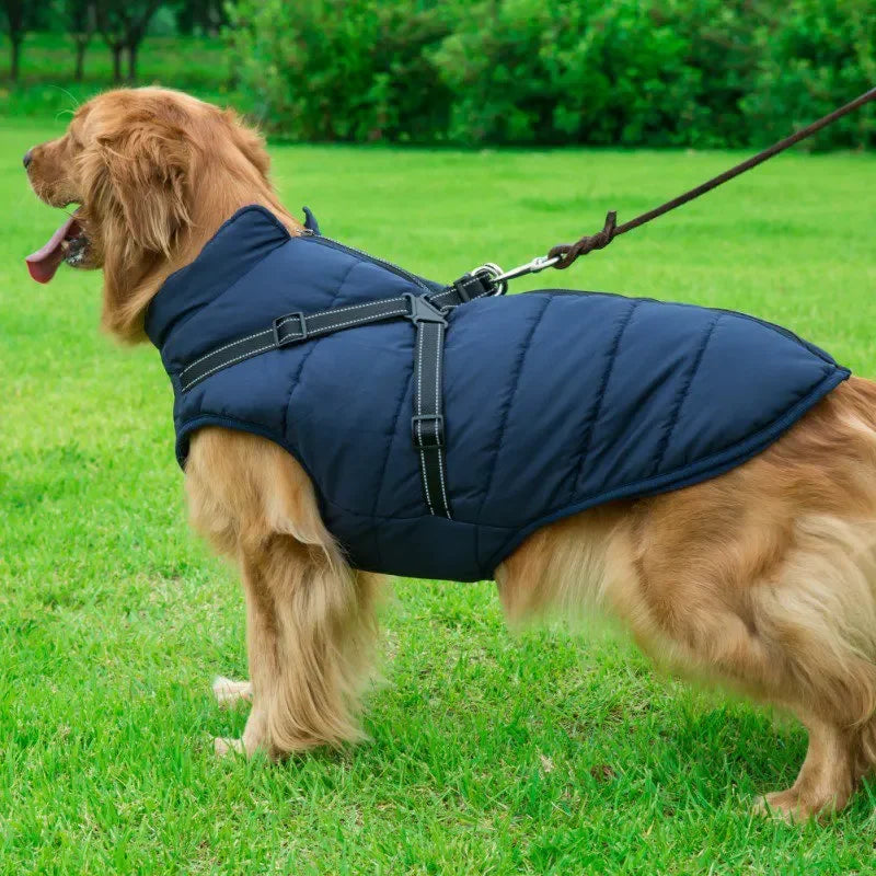 Waterproof Pet Jacket with Built-In Harness