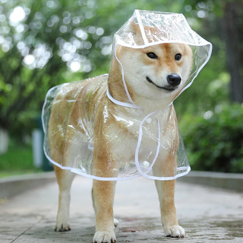 Transparent Raincoat Pet
