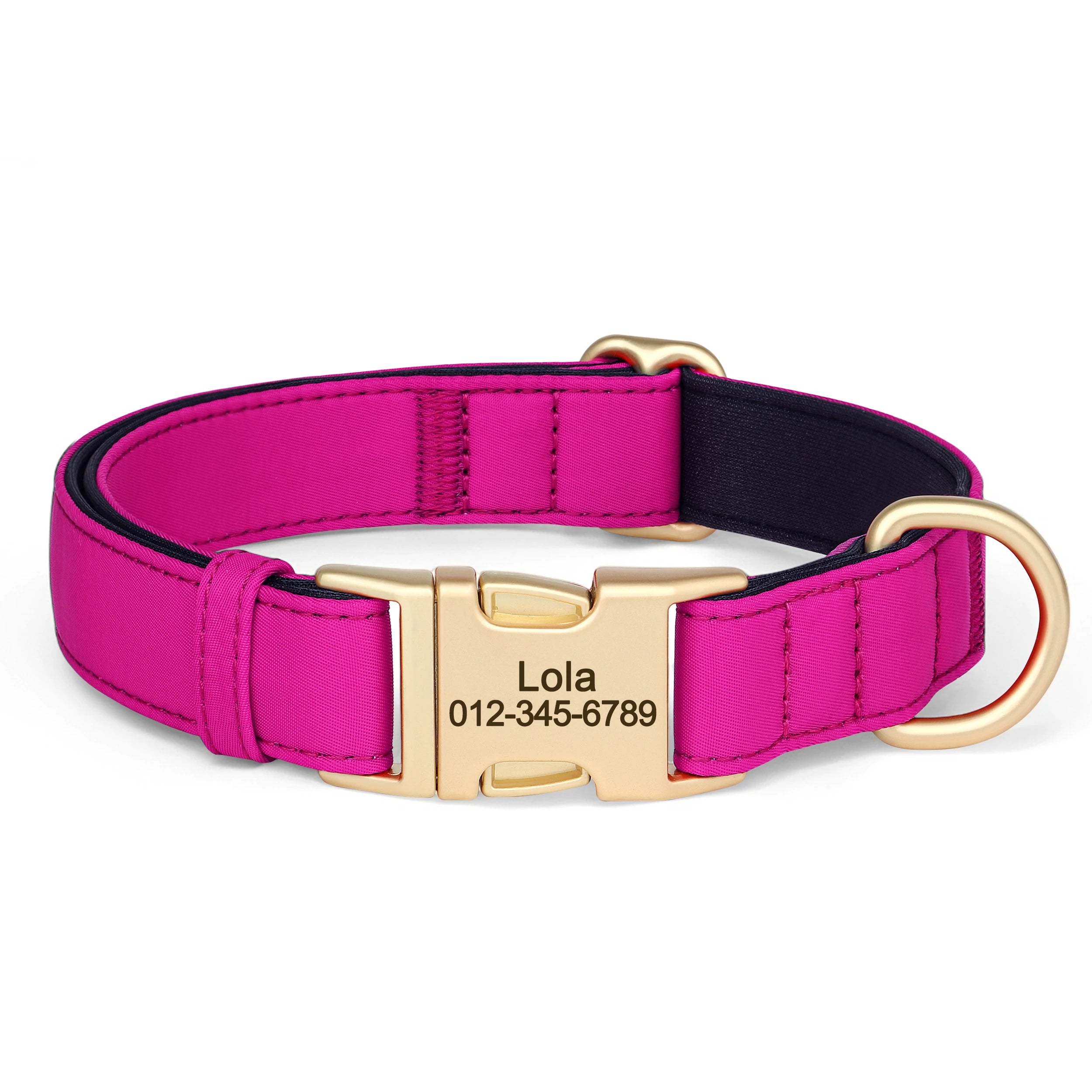 Personalized Dog Collar - Nylon