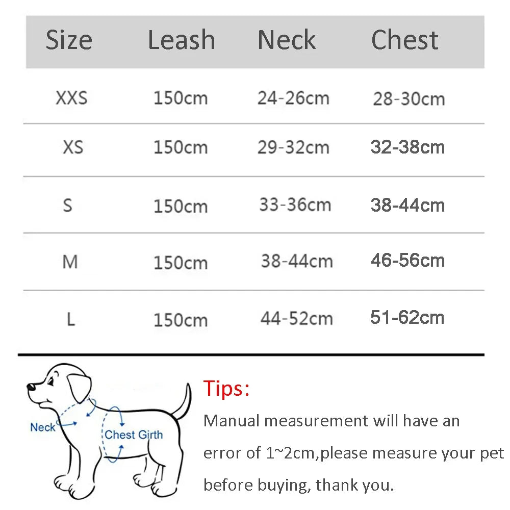 Pet Harness Set