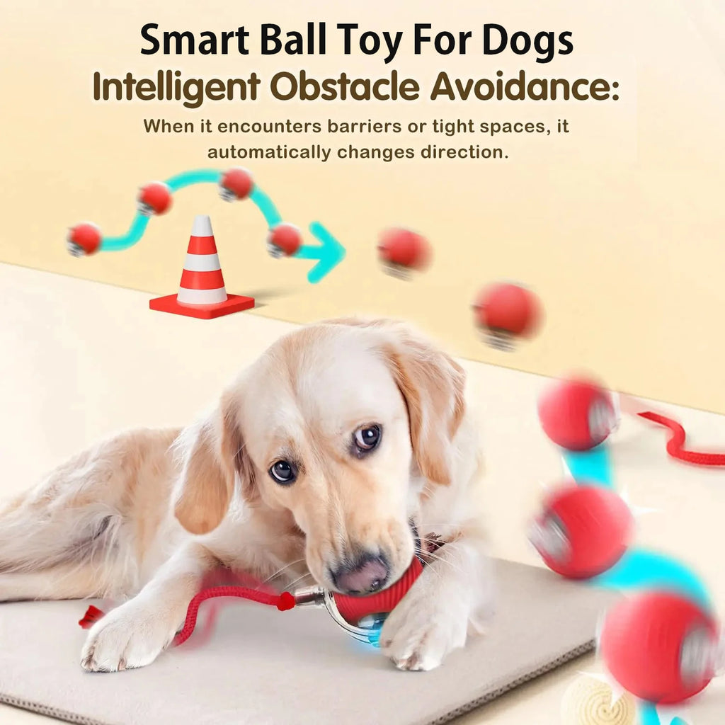 Interactive Dog Ball