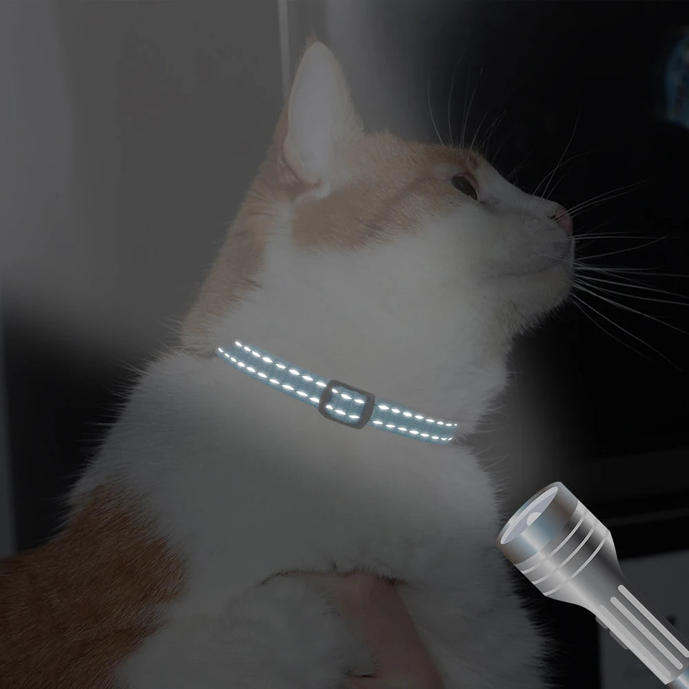 Personalized Nylon Cat Collar