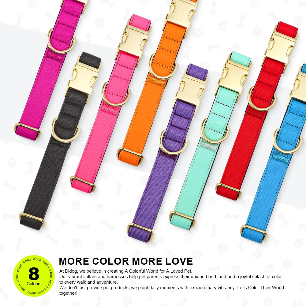 Personalized Dog Collar - Nylon