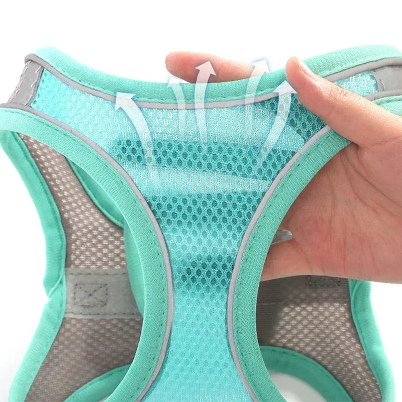 Pet Harness Set