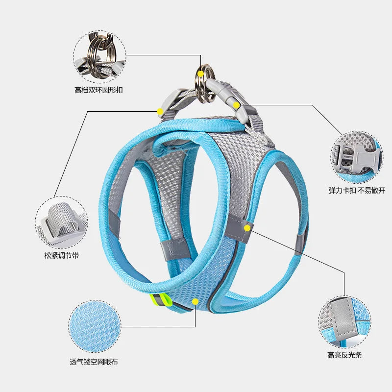 Pet Harness Set