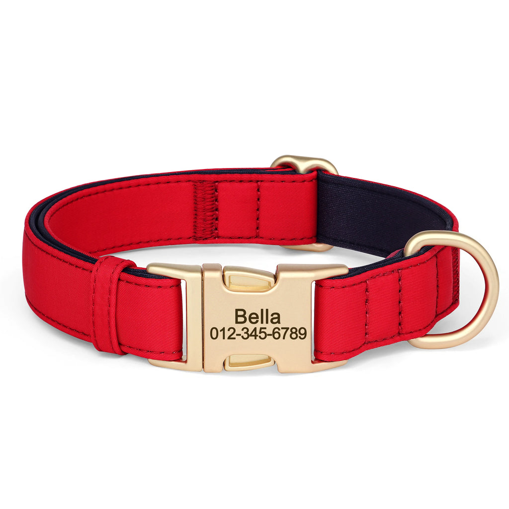 Personalized Dog Collar - Nylon